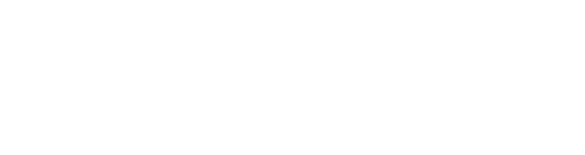 PayPal logo white